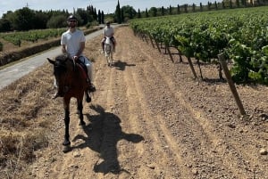 Alicante: Privater Ausritt & Picknick mit Transfer