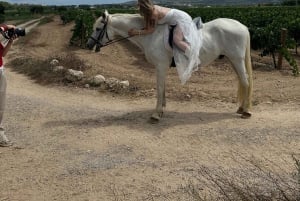 Alicante: Privater Ausritt & Picknick mit Transfer