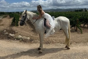 Alicante: Privater Ausritt & Picknick mit Transfer