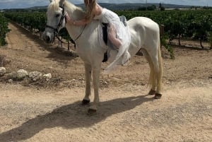 Alicante: Privater Ausritt & Picknick mit Transfer