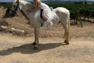 Alicante: Privater Ausritt & Picknick mit Transfer