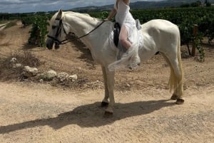 Alicante: Privater Ausritt & Picknick mit Transfer