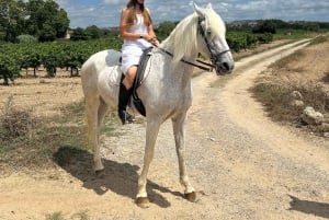 Alicante: Privater Ausritt & Picknick mit Transfer