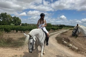 Alicante: Privater Ausritt & Picknick mit Transfer