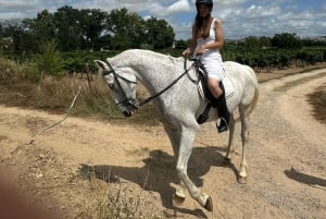 Alicante: Privater Ausritt & Picknick mit Transfer