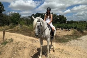 Alicante: Privater Ausritt & Picknick mit Transfer