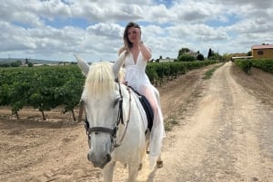 Alicante: Privater Ausritt & Picknick mit Transfer