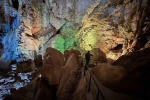 Alicante: Private visit to Cuevas del Canelobre and Flamenco Show in a van