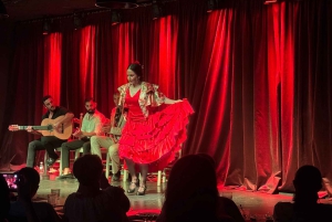 Alicante; Visita privada Cuevas del Canelobre y Espectáculo Flamenco en van