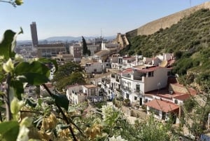 Sieben Geheimnisse von Alicante Entdeckungstour