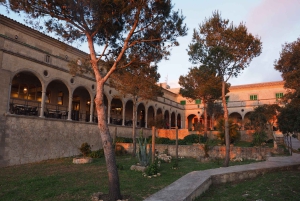 Alicante Shared Tour Old town, Elche & Huerto del Cura Grdns