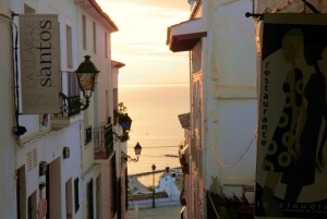 Alicante Shared Tour Old town, Elche & Huerto del Cura Grdns