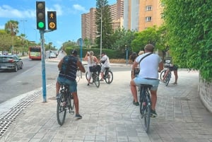 Alicante: Snorkel cove on E-Bike tour and paddel surf