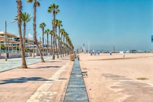Alicante: Oppdag Middelhavets strender og bukter med el-sykkel