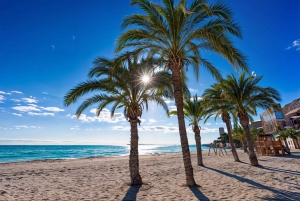Alicante : Découvrez les plages et les criques de la Méditerranée en E-Bike