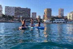Alicante: Stand-Up Paddleboardverhuur