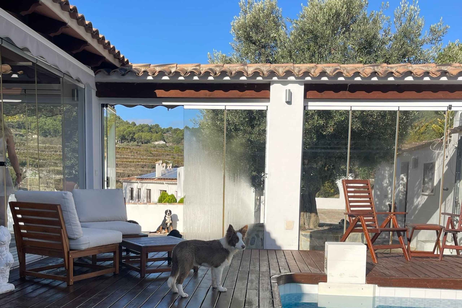 アリカンテ：3つのワイナリーで持続可能なワイン＆タパス体験