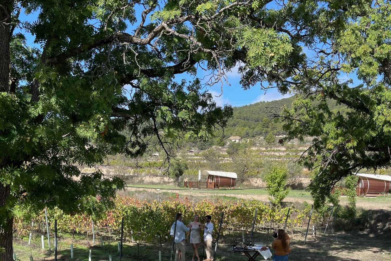 アリカンテ：3つのワイナリーで持続可能なワイン＆タパス体験