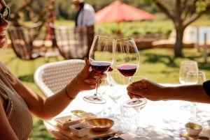 Alicante: Sustainable Wine & Tapas Experience at 3 Wineries
