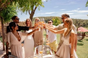 Alicante: Sustainable Wine & Tapas Experience at 3 Wineries