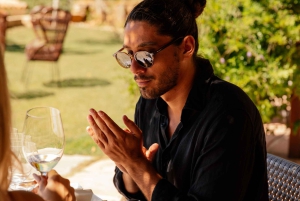 Alicante: Sustainable Wine & Tapas Experience at 3 Wineries