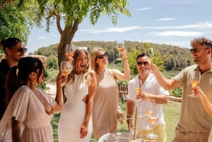 Alicante: Sustainable Wine & Tapas Experience at 3 Wineries