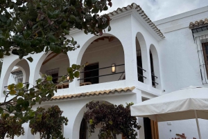 Alicante: Hållbar vin- och tapasupplevelse på 3 vingårdar