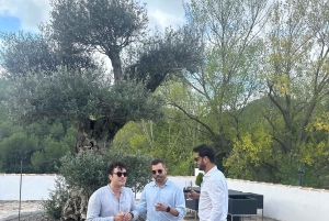 Alicante: Hållbar vin- och tapasupplevelse på 3 vingårdar