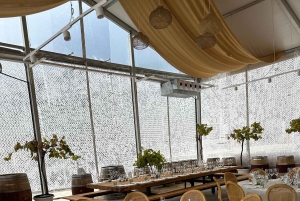 Alicante: Hållbar vin- och tapasupplevelse på 3 vingårdar