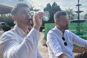 Alicante: Hållbar vin- och tapasupplevelse på 3 vingårdar