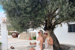 Alicante: Hållbar vin- och tapasupplevelse på 3 vingårdar