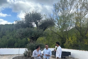 Alicante: Hållbar vin- och tapasupplevelse på 3 vingårdar