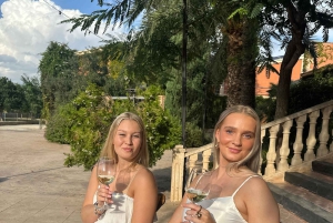 Alicante: Hållbar vin- och tapasupplevelse på 3 vingårdar