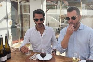 アリカンテ：3つのワイナリーで持続可能なワイン＆タパス体験