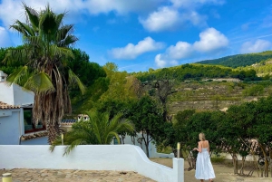 アリカンテ：3つのワイナリーで持続可能なワイン＆タパス体験