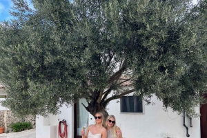 アリカンテ：3つのワイナリーで持続可能なワイン＆タパス体験