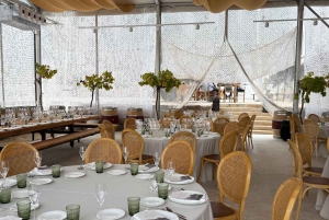 アリカンテ：3つのワイナリーで持続可能なワイン＆タパス体験