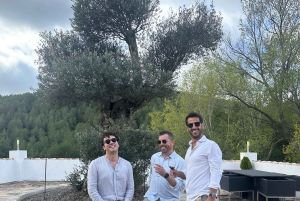 アリカンテ：3つのワイナリーで持続可能なワイン＆タパス体験