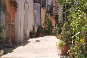 Alicantes höjdpunkter: 2 timmars rundvandring med en lokal guide