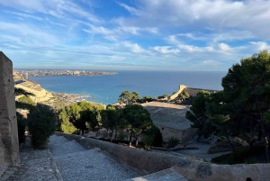 Alicante: Transfer +guided tour to Castle of Santa Barbara