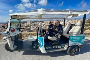 Alicante Tuk Tuk Overview Tour