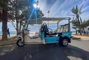 Alicante Tuk Tuk Overview Tour