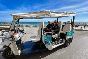 Alicante Tuk Tuk Overview Tour