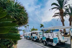 Alicante Tuk Tuk Overview Tour