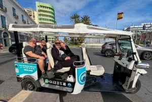 Alicante Tuk Tuk Overview Tour