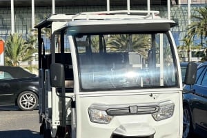 Alicante: Tuk-Tuk-Tour