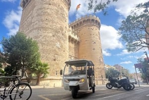 Alicante: Tuk-Tuk-Tour