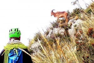 Alicante: Via Ferrata del Ponoig Guidad vandring och klättring