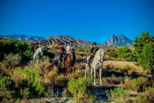 Alicante: Villajoyosa 2-hour Horseback Riding Tour