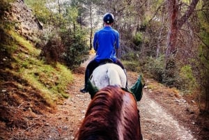 Alicante: Villajoyosa 2-hour Horseback Riding Tour